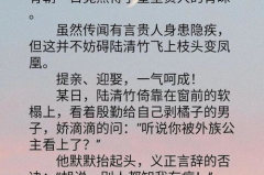 前夫成了首辅之后,一段逆袭与荣耀的传奇人生