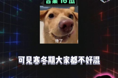 娱乐八卦开心吃瓜图片,开心吃瓜，笑翻你的周末时光！
