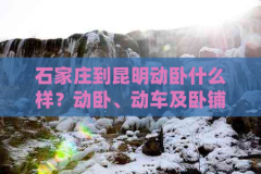 石家庄到昆明动卧什么样？动卧、动车及卧铺票价与时间2025年6月17日