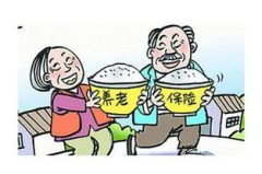 查个人养老保险,保障晚年生活的坚实后盾