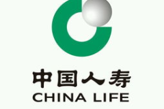中国人寿保险公司官方网,中国保险业的领军者，全方位服务与稳健发展之路”