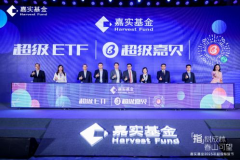 嘉实服务基金,稳健增长，服务行业投资新选择