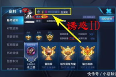 找人一起玩王者娱乐,共创辉煌战绩